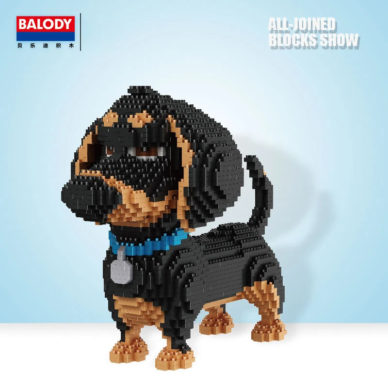 Buddy - Perro Salchicha