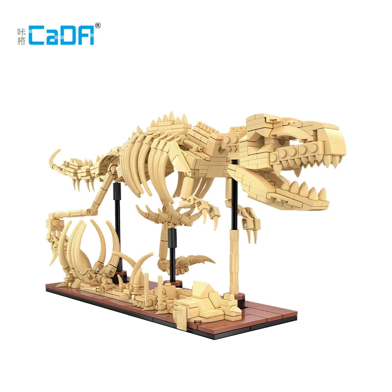 Fósiles de dinosaurio