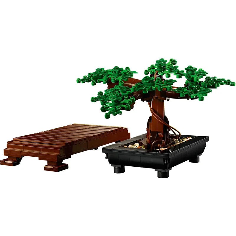 Maceta Bonsai