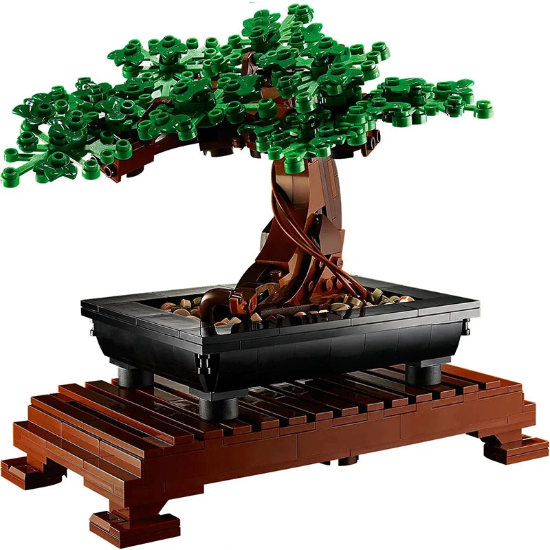 Maceta Bonsai