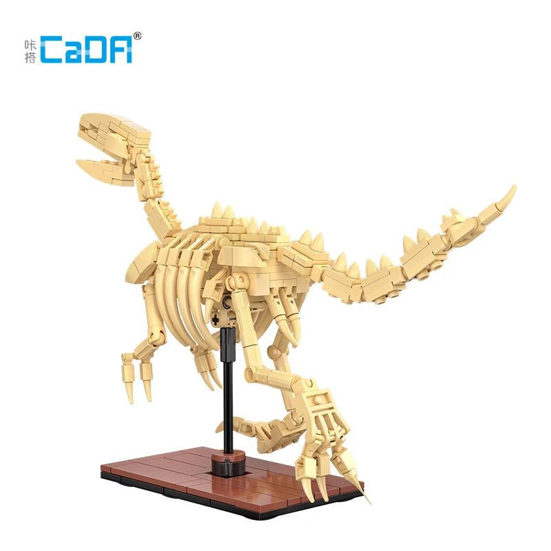 Fósiles de dinosaurio