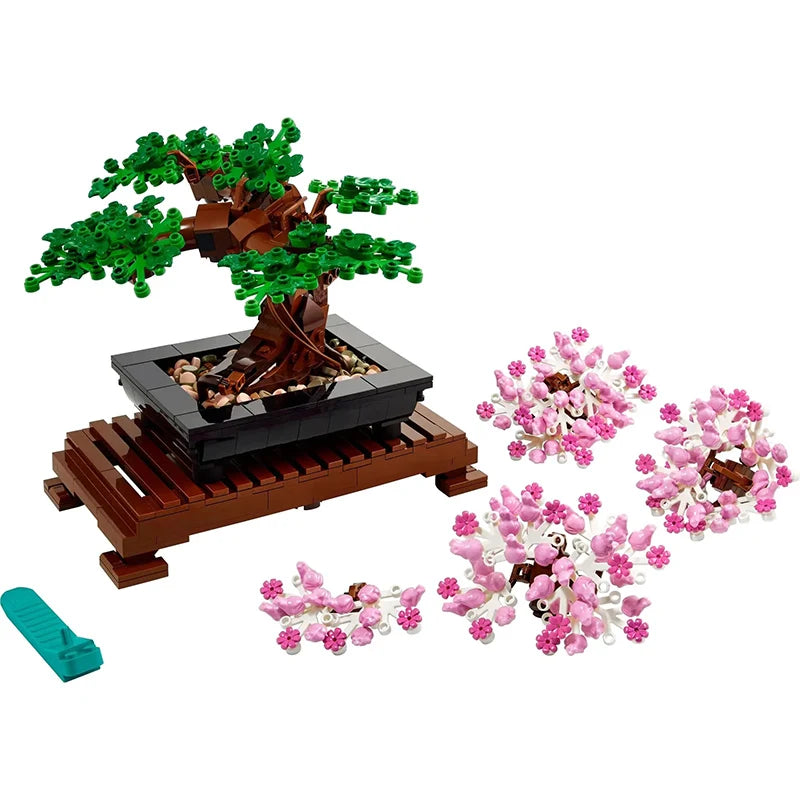 Maceta Bonsai