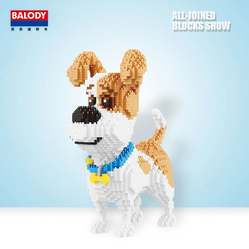 Max- Jack Rusell Terrier