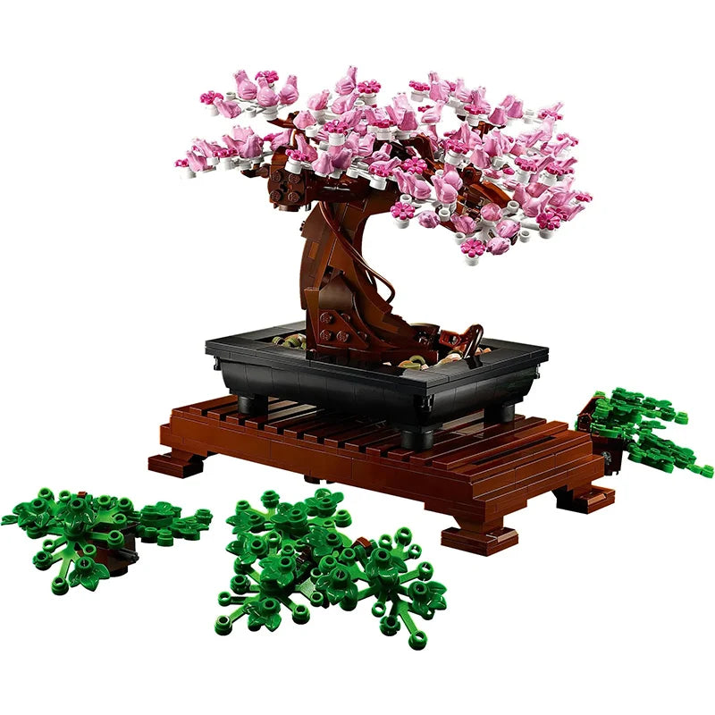 Maceta Bonsai
