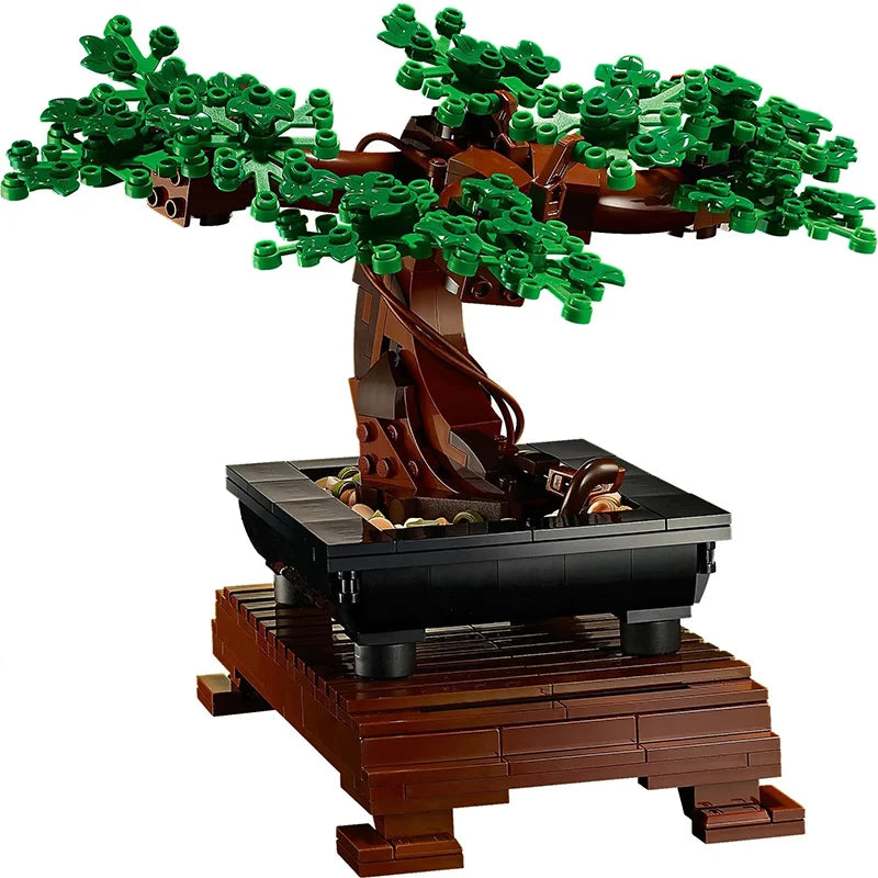 Maceta Bonsai