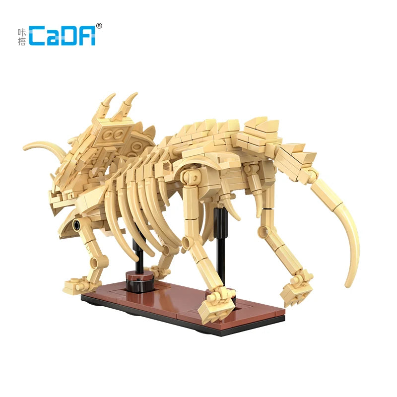 Fósiles de dinosaurio