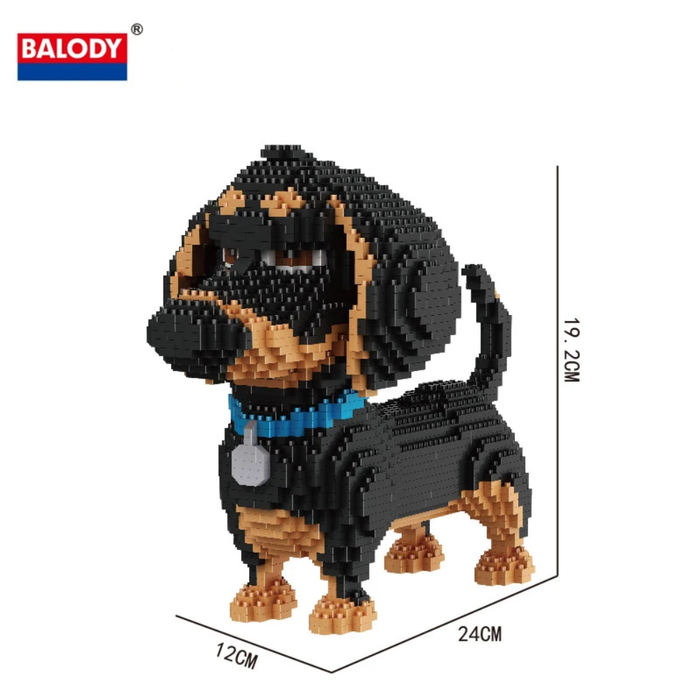 Buddy - Dachshund