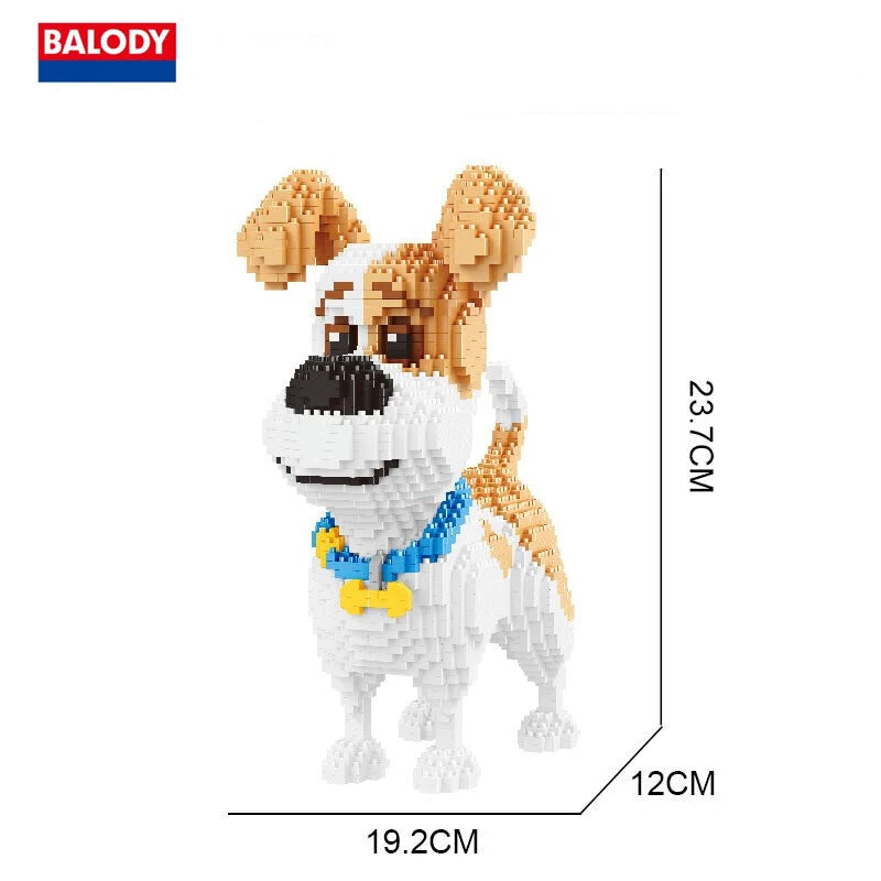 Max - Jack Russell Terrier