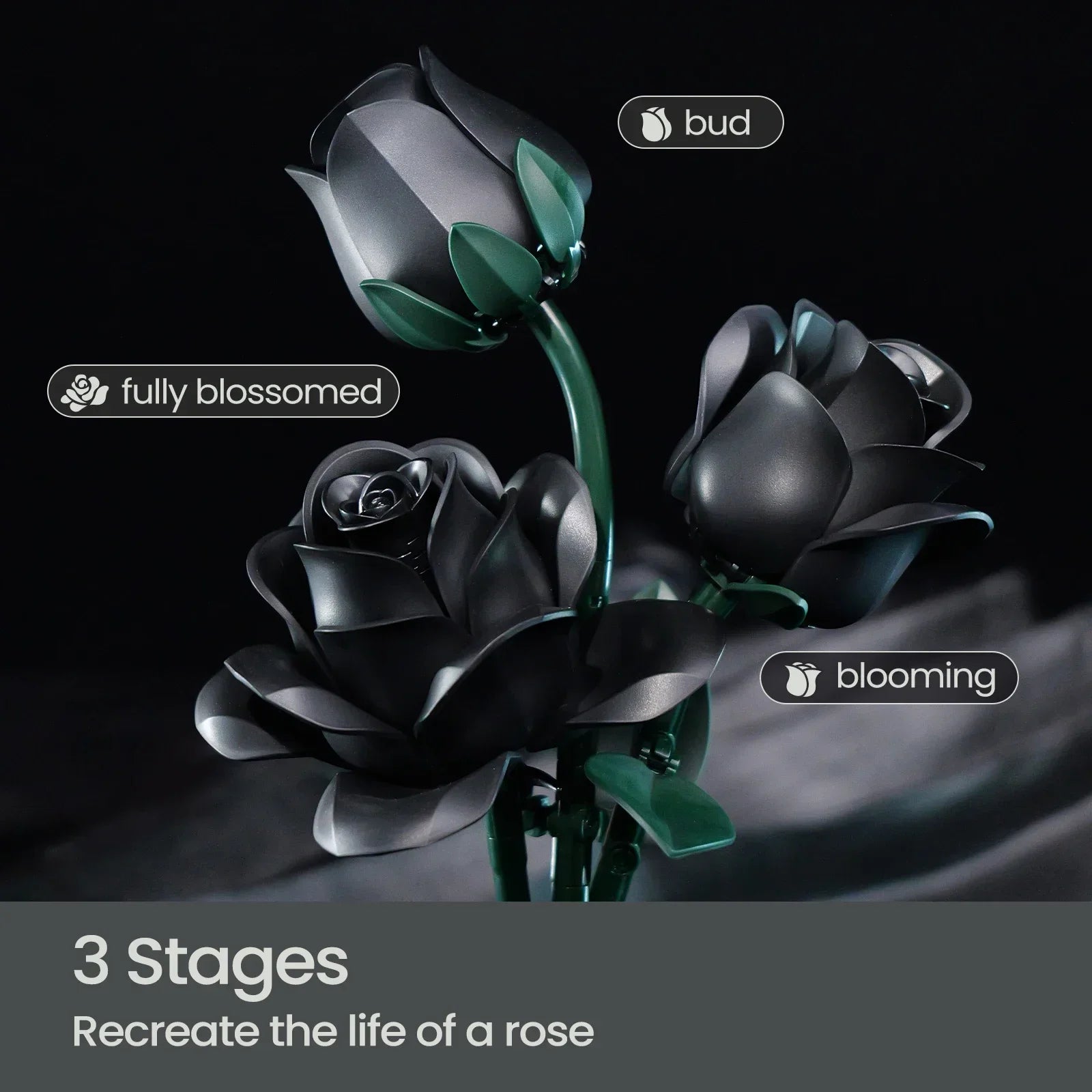 Bouquet of 12 Black Roses