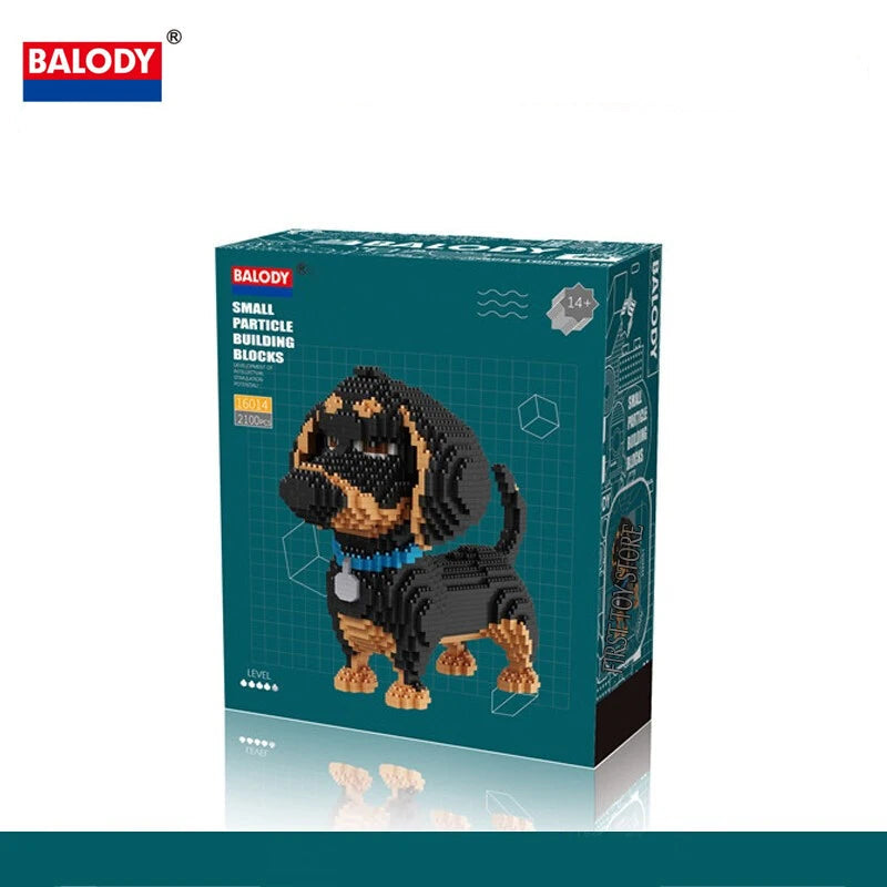 Buddy -  Perro Salchicha